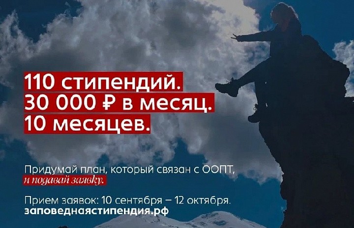 Студенты могут побороться за стипендию для работы в природоохранной сфере