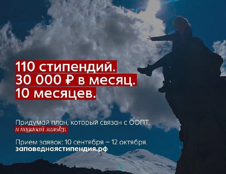 Студенты могут побороться за стипендию для работы в природоохранной сфере